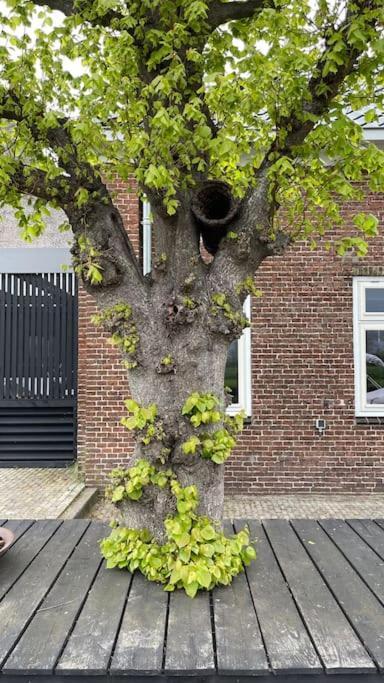 Puur Eastermar - Monumentaal, Authentiek En Luxe Koetshuis Aan Open Vaarwater Met Jacuzzi En Sauna Oostermeer Exteriér fotografie